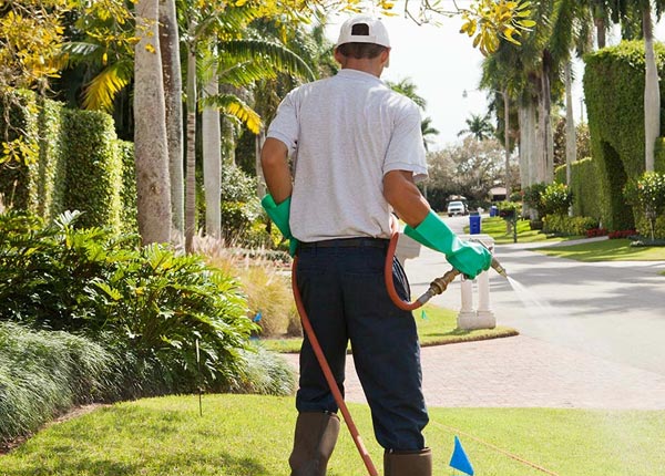 About Studio City CA Pest Control Pros